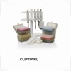 CLIPTIP.RU