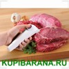 KUPIBARANA.RU